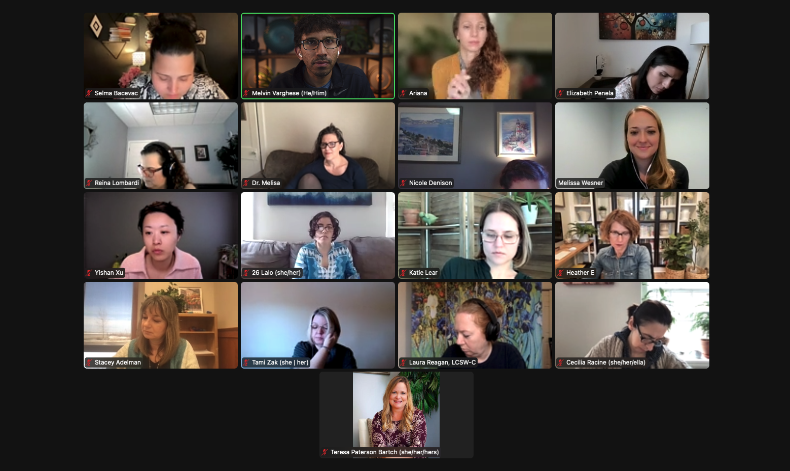STC Elite Mastermind A screenshot of an STC Elite Mastermind meeting. This is a mastermind for therapists creating their first online course.